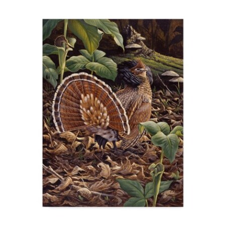 Trademark Fine Art Wilhelm Goebel 'May Display Ruffed Grouse' Canvas Art, 35x47 ALI33883-C3547GG